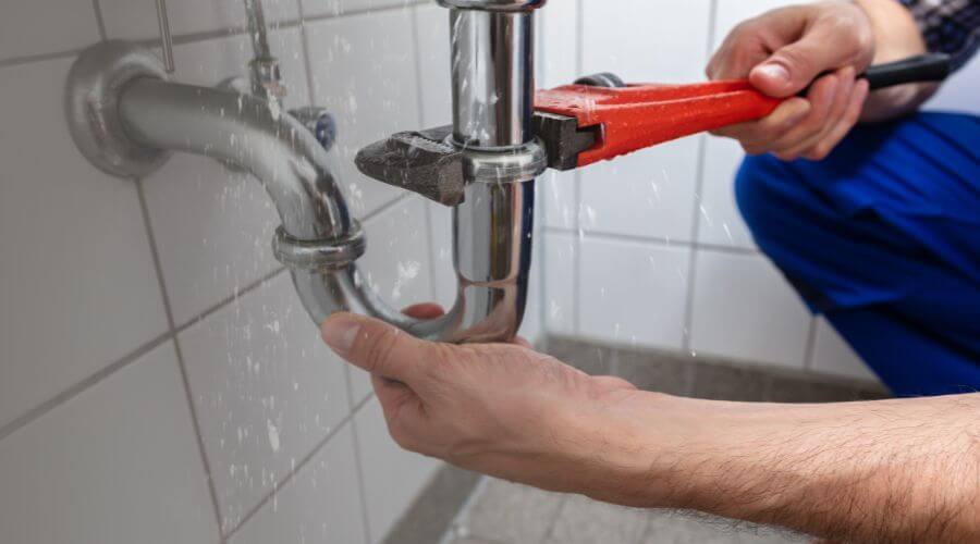 Professional Leak Detection services in D Hanis, TX